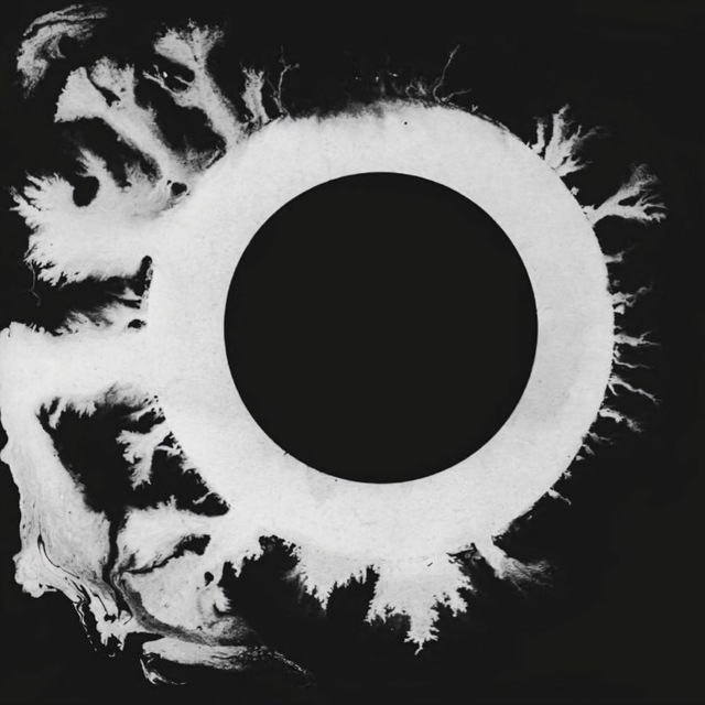 D🌑