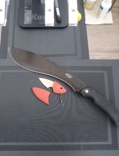 77037.jpg