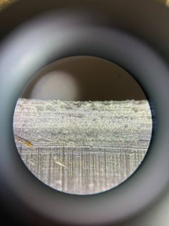 78991.jpg