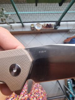 79081.jpg