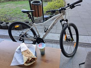 69319.jpg