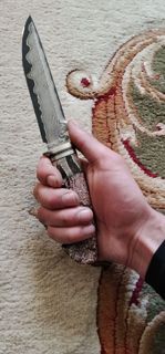 67428.jpg