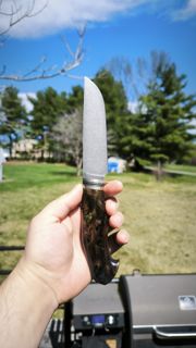67431.jpg