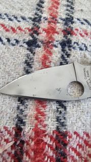 79423.jpg