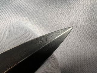 79602.jpg