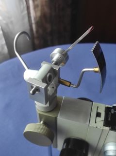 52201.jpg