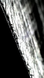 38880.jpg