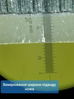 69663.jpg