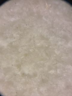 6575.jpg