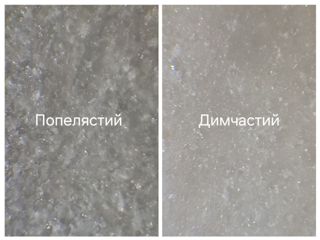 7024.jpg