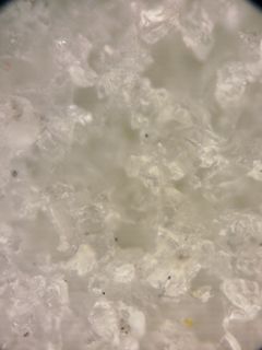 8044.jpg