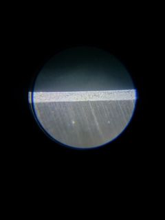 78117.jpg