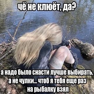 25541.jpg