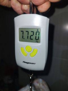 55250.jpg