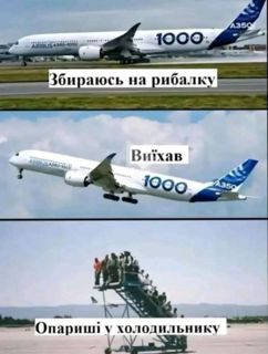 77901.jpg