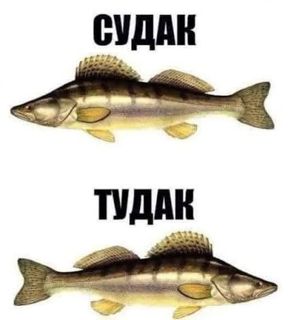 78674.jpg