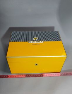 51066.jpg