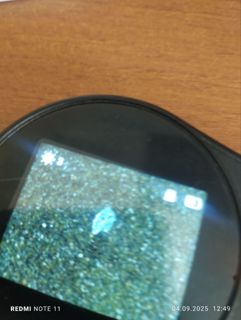 26537.jpg