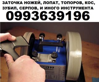 67343.jpg