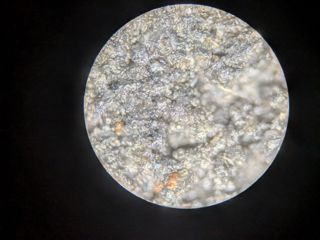 57840.jpg