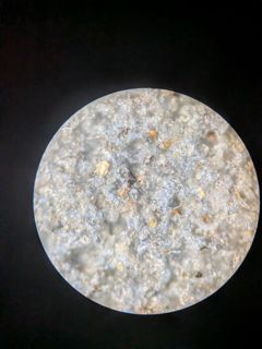 57841.jpg