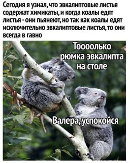 37860.jpg
