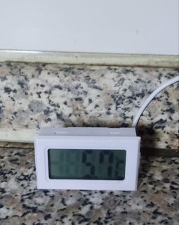 64893.jpg
