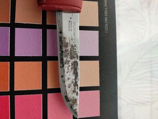 68770.jpg