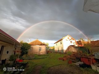 73980.jpg