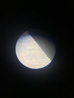 61590.jpg