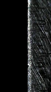 65390.jpg