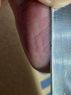 79925.jpg