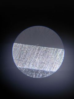 53307.jpg