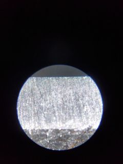 53454.jpg