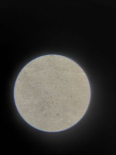 62210.jpg