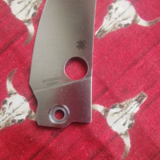 80027.jpg