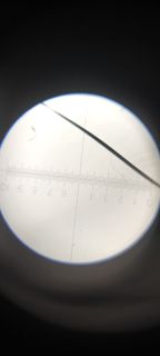 43141.jpg
