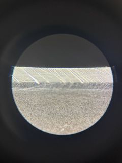 317.jpg
