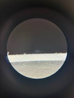 337.jpg